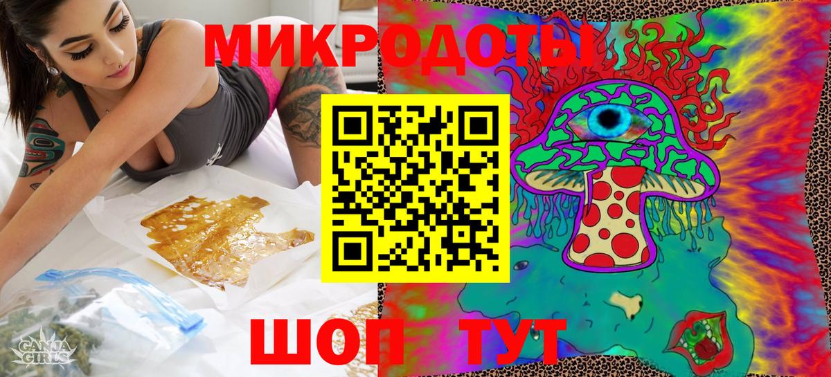 Псилоцибиновые грибы Psilocybine cubensis Шахты