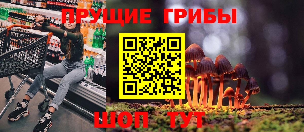 Шахты  Галлюциногенные грибы Magic Shrooms  Вход с VPN 